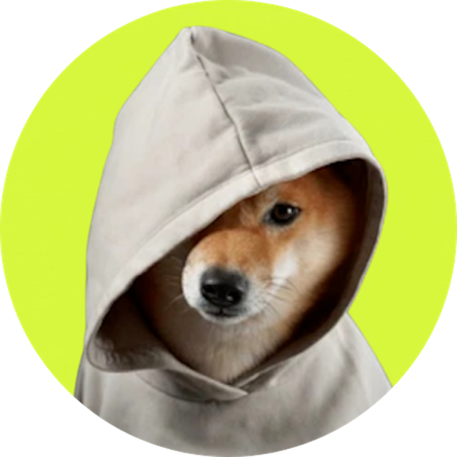 A shiba inu in a cream hoodie with the hood up, peeking out from under it, on a lime circle